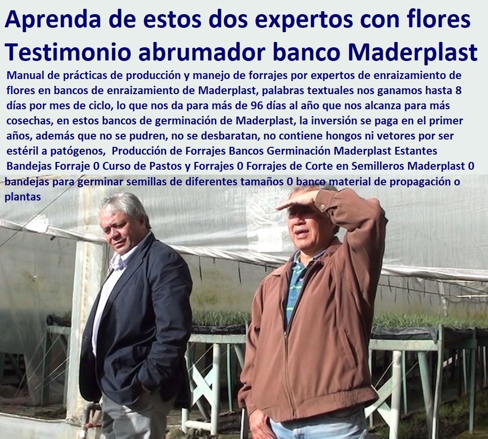 Producción de Forrajes Bancos Germinación Maderplast Estantes Bandejas Forraje 0 Curso de Pastos y Forrajes 0 Forrajes de Corte en Semilleros Maderplast 0 Producción de Forraje en Estantería Maderplast Como Producir Forraje Verdes Producción de Forrajes Bancos Germinación Maderplast Estantes Bandejas Forraje 0 Curso de Pastos y Forrajes 0 Forrajes de Corte en Semilleros Maderplast 0 Ganaderías Tecnificadas, Explotación Ganadera Automatizada, Sistemas de Pastoreo, Estabulación de Ganado, Pastoreo Intensivo, Establos, Corrales, Saladeros, Comederos, Cerramientos, Postes, Producción de Forraje en Estantería Maderplast Como Producir Forraje Verdes